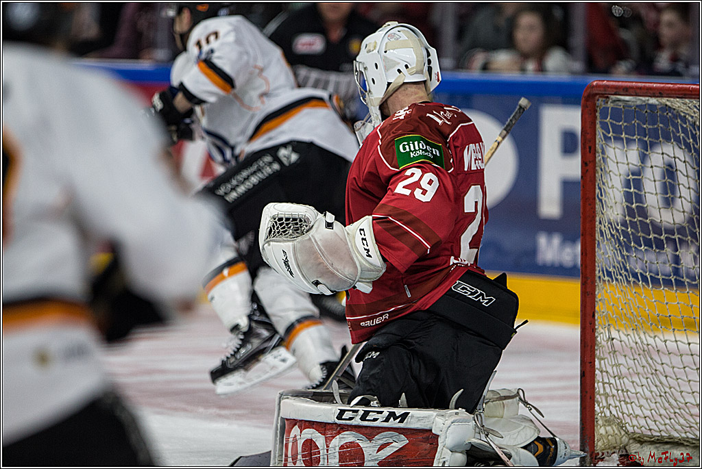 DEL, Koelner Haie - Grizzlys Wolfsburg, 12.03.2017